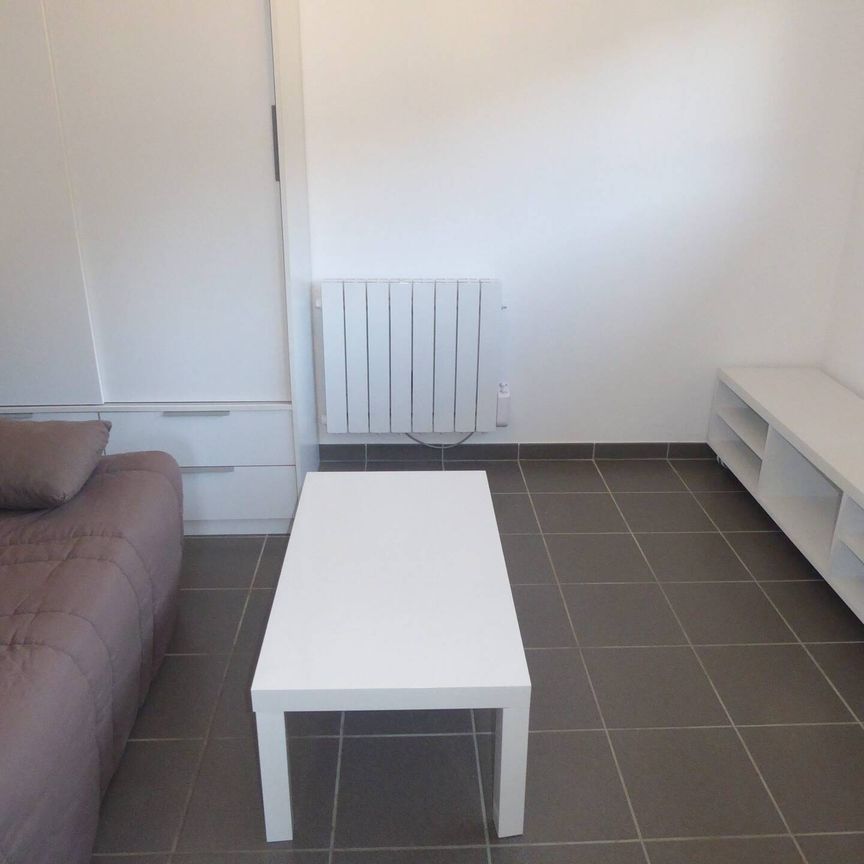 Location appartement 1 pièce 19.6 m² à Vals-les-Bains (07600) - Photo 1