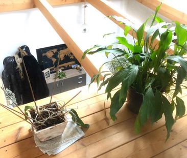 2.5 Zimmer - Photo 2