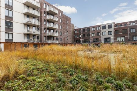 Zijdebalen: uniek wonen langs de Vecht - Photo 3