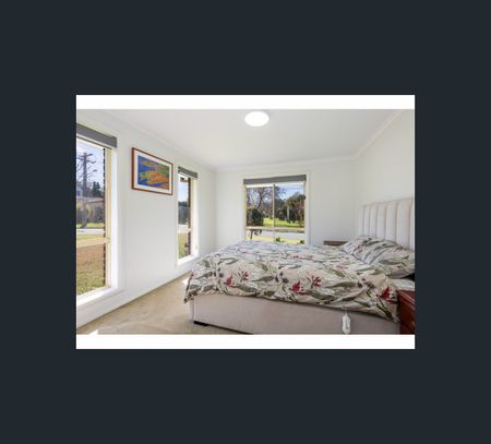 44 Michelle Avenue, Lavington, NSW 2641 - Photo 5
