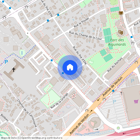 29 Avenue De La Plaine Fleurie, Meylan