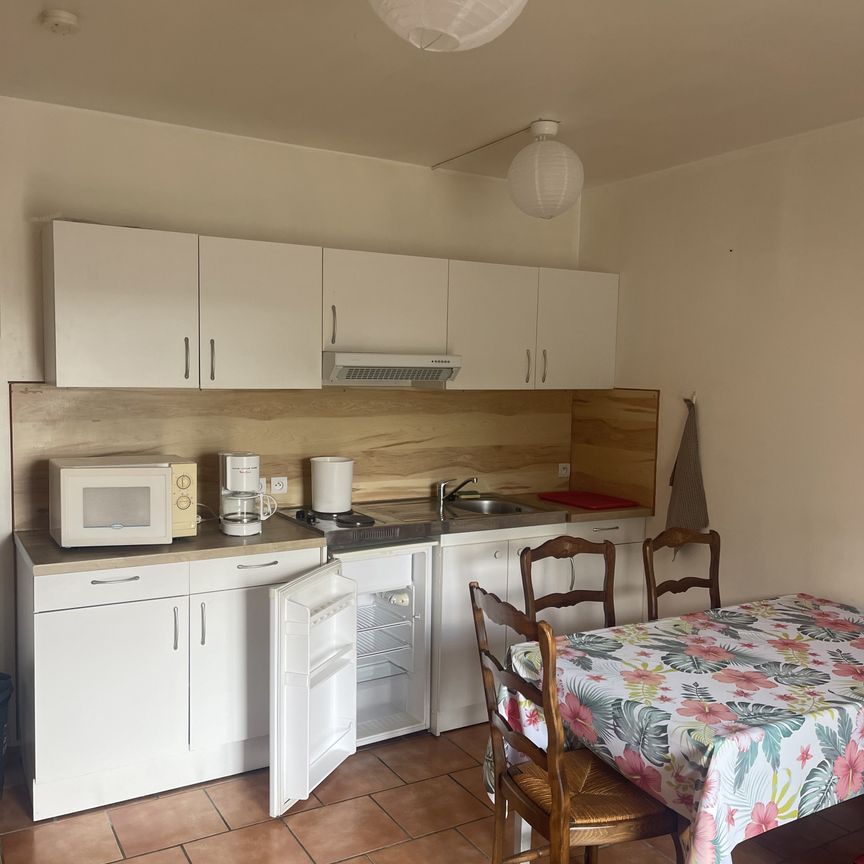Location Appartement 2 pièces 33m² LE FOUSSERET 31430 - Photo 1