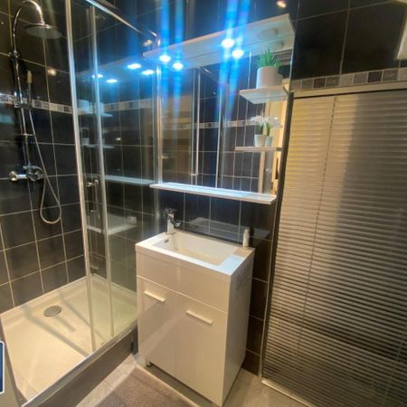 Location Appartement 1 pièce 33m² SETE 34200 - Photo 3