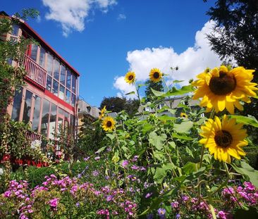 41/2 ZI-WOHNUNG IN ZÜRICH - KREIS 7 FLUNTERN, FURNISHED, TEMPORARY - Foto 4