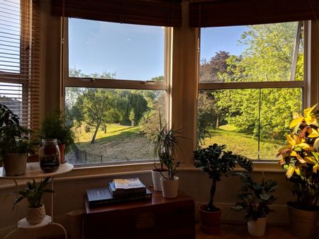 2 Bed Flat, Trundleys Road, SE8 - Photo 2