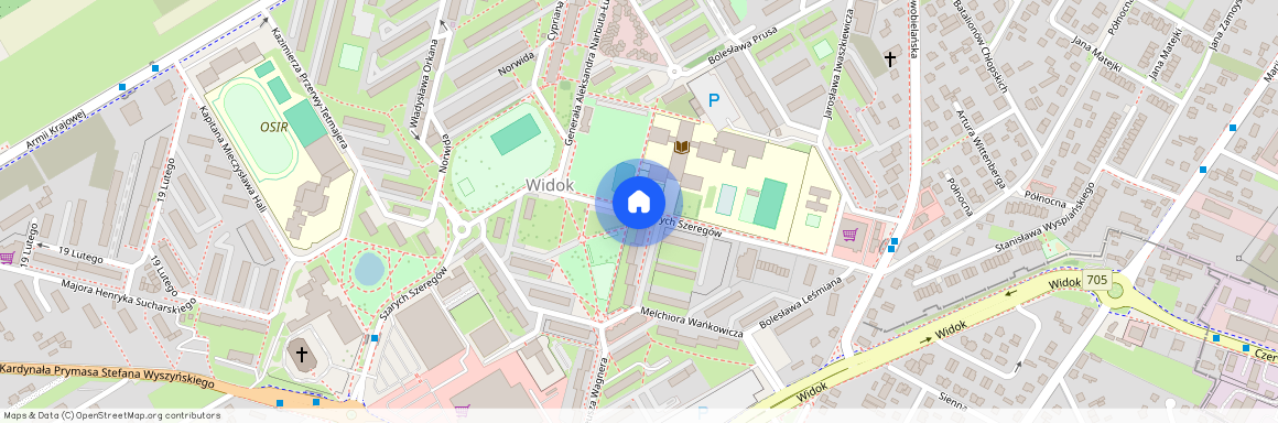 ul. Szarych Szeregów, Skierniewice, łódzkie