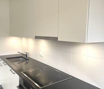 Plaine de Plainpalais - Université - Photo 4