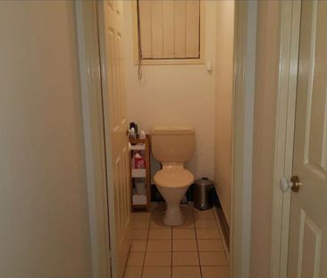 Forest Lake - Photo 6