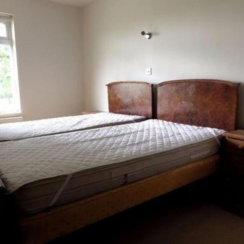 4 bedroom house share to rent - Photo 1