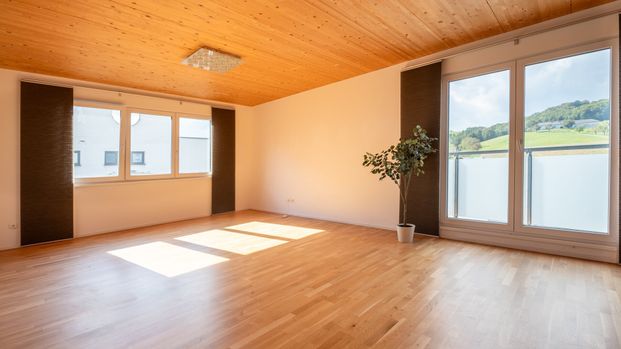 STEYREGG: Stilvolle 3-Zimmer-Wohnung mit Grünblick - Photo 1