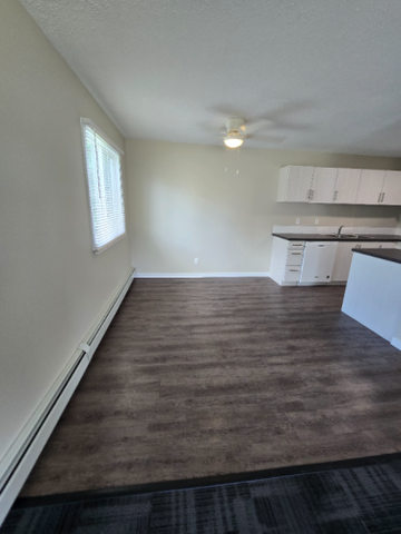 Modern Two Bedroom Unit on the North End - Photo 4