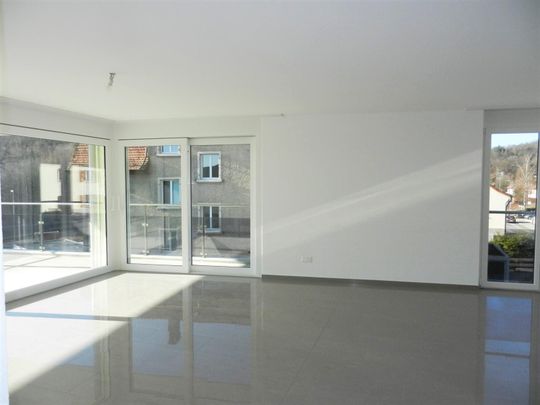 Grosszügige Wohnung mit sonniger Terrasse in Neuhausen - Photo 1