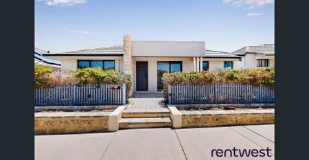 Freshly Painted & Brand New Carpets - Photo 5