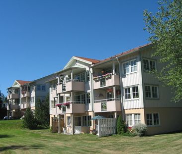 Brogårdsgatan, Sunne - Photo 1