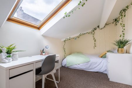 7 Bed Flat, Trafalgar Street, S1 - Photo 3