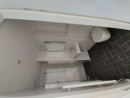 Te huur: Omegaplantsoen 433 - Foto 4