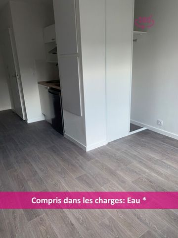 Location Appartement 1 pièce 19m² AUZEVILLE TOLOSANE 31320 - Photo 2
