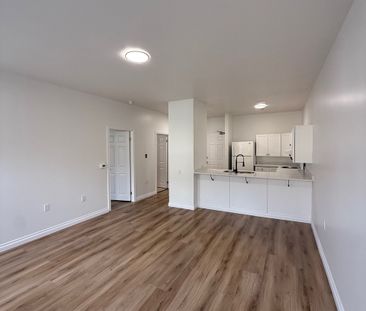 West River Apartments - Photo 6