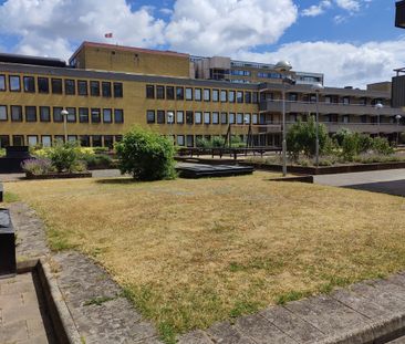 Bergsgatan 42, Möllevången - Photo 1