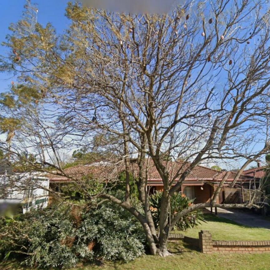 It's a Beauty. - Photo 1