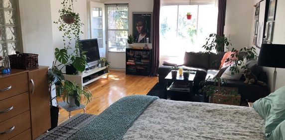 3 1/2 à louer Tétreauville (mercier-est) - Photo 2