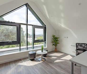 Garden View Studio - Photo 6