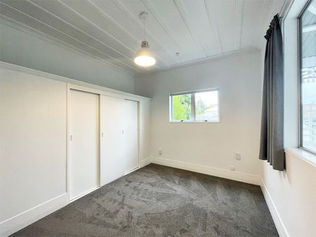 29 Tyne Street, Roslyn, Dunedin - Photo 2