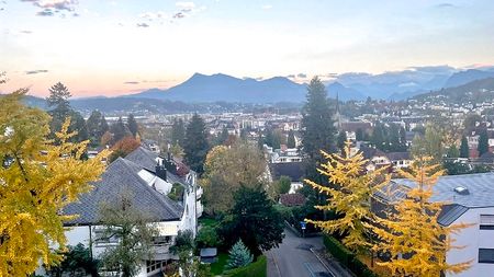 1 Zimmer-Wohnung in Luzern, möbliert, auf Zeit - Foto 4