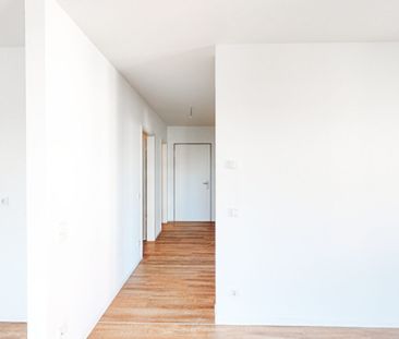 Große Penthouse-Wohnung mit Dachterrasse im Wissenschaftshafen - Photo 6