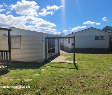 Freshly Renovated 4-Bedroom Home + Sleepout Cabin - Photo 6