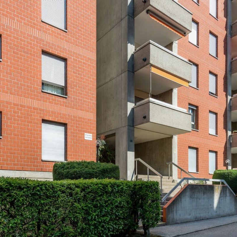 2.5 Zimmer, 53 m², 1. Stock - Foto 1