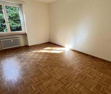 An der Stadtgrenze zu Allschwil - Foto 1