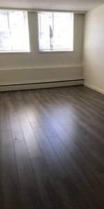 Huge 4 bedroom, 2 bathroom, 1st floor apt - Photo 4