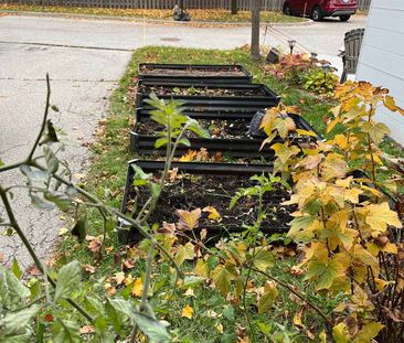 For Lease - 40 Glenashton Drive, Oakville, Ontario - Photo 1