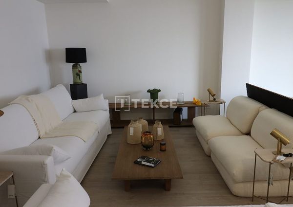 Badalona, La Morera, Barcelona, Catalonia 08918