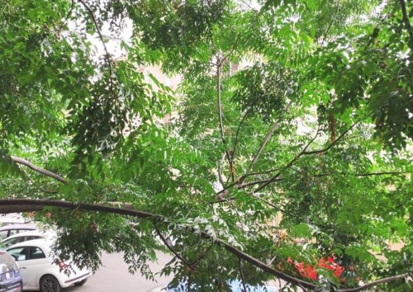 Monteverde Vecchio: Modern 2 bedroom, 2 bath, large living room, separate kitchen. Bright, silent, parquet floors, situated in lovely period building, excellent area, near park. Ref. 2364.