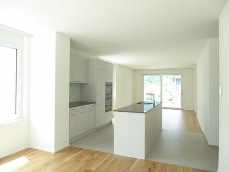4 1/2-Zimmer-Wohnung - Neubauprojekt "Rheincity" - Photo 5