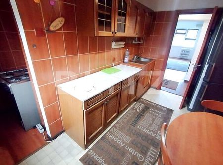 Apartament de 3 camere, 78 mp, pet friendly, zona Brazda lui Novac - Photo 2