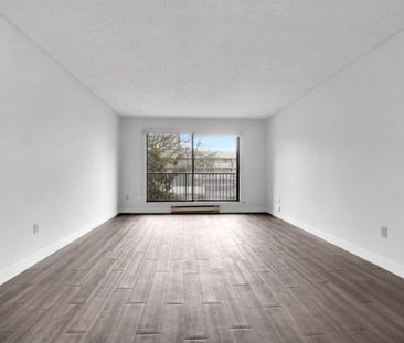 Dolphin Square Apartments - 1 Bedroom - Photo 6