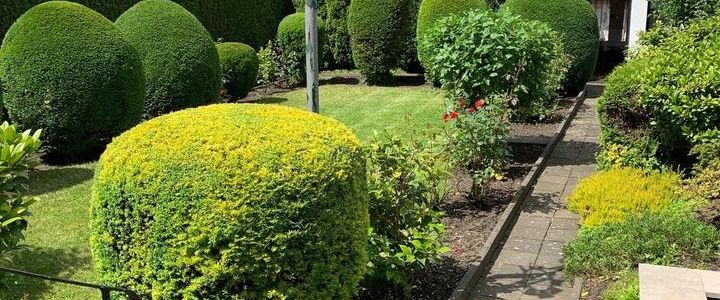 Schöne 2 Zimmer Wohnung in Mülheim-Styrum (Zu vermieten) - Foto 1