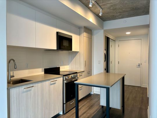 For Lease - 65 Mutual Street Unit# 802, Toronto, Ontario - Photo 1