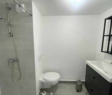 Location Appartement 1 pièce 18m² - Photo 4