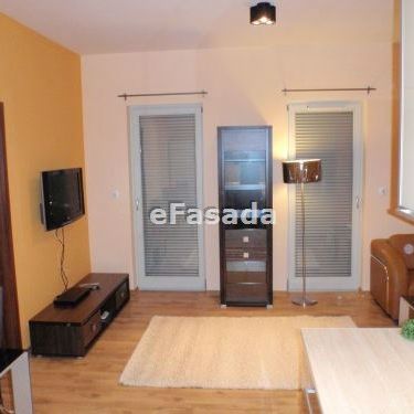 EFS-MW-61 Mieszkanie na wynajem - Photo 3