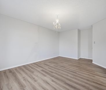 For Lease - 19 Silverbell Court, Brampton, Ontario - Photo 4