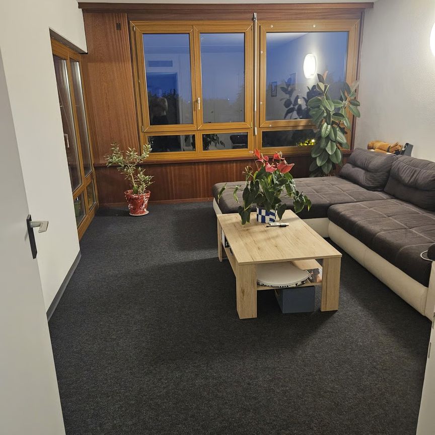 3 Zimmer, 70 m², 6. Stock - Foto 1