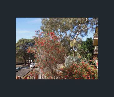 Couple of minutes walk to Parramatta River - Photo 3