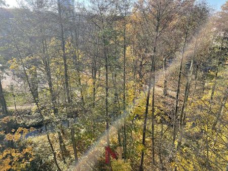 Mieszkanie na wynajem, Gorzów Wlkp., Śródmieście - Zdjęcie 4