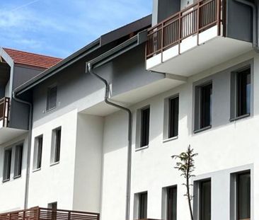 Location appartement 2 pièces - Photo 1