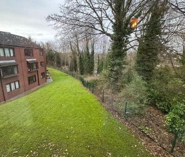 4c Stranmillis Court, BT9, Belfast - Photo 5