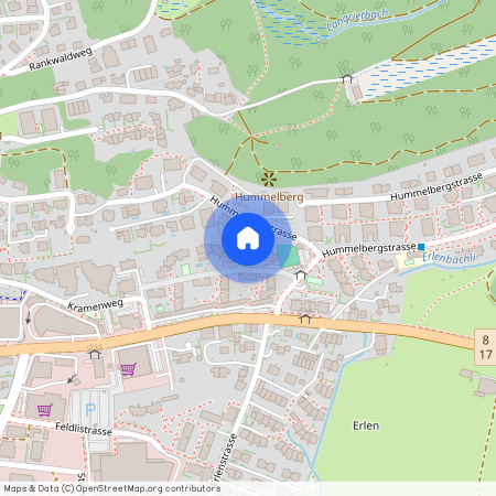 St. Gallerstrasse 149, 8645 Rapperswil-Jona